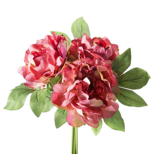 resize-ResizeImageFunction-1A5MHZIEG76EF (10).jpg