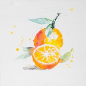 Obraz 30x30 Eurofirany Fruit 03 cytryny