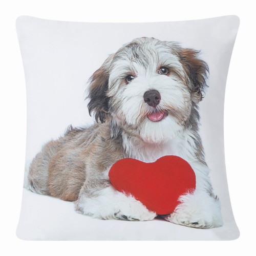 chp_animal_63_40x40[P1].jpg