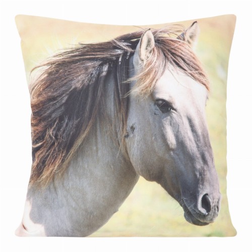 chp_animal_56_40x40[P1].jpg