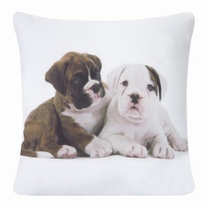 Poszewka ozdobna 40x40 Eurofirany Animal 61