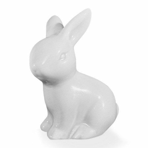 rabbit.jpg